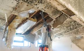 Reliable Wheatley Heights, NY Mold Remediation Solutions